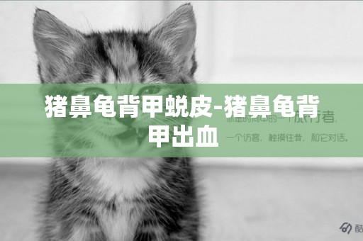 豬鼻龜背甲蛻皮-豬鼻龜背甲出血