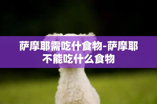 薩摩耶需吃什食物-薩摩耶不能吃什么食物