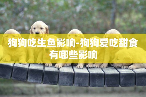 狗狗吃生魚影響-狗狗愛吃甜食有哪些影響