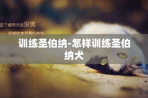 訓練圣伯納-怎樣訓練圣伯納犬