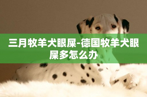三月牧羊犬眼屎-德國牧羊犬眼屎多怎么辦