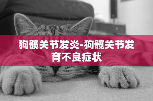 狗髖關節發炎-狗髖關節發育不良癥狀