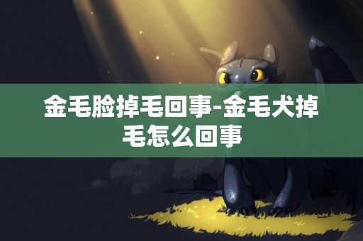 金毛臉掉毛回事-金毛犬掉毛怎么回事