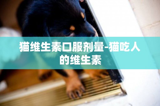 貓維生素口服劑量-貓吃人的維生素