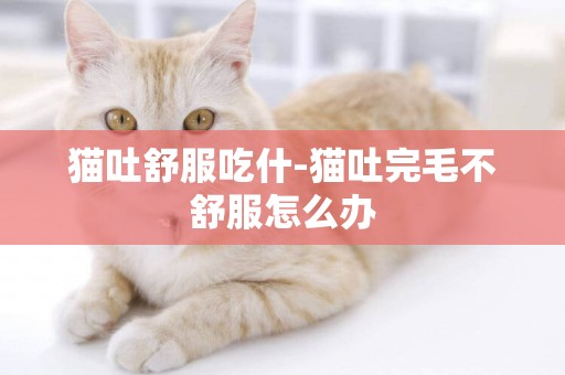 貓吐舒服吃什-貓吐完毛不舒服怎么辦