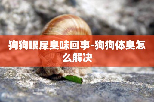 狗狗眼屎臭味回事-狗狗體臭怎么解決
