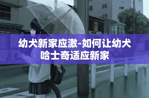 幼犬新家應激-如何讓幼犬哈士奇適應新家
