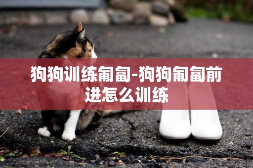 狗狗訓練匍匐-狗狗匍匐前進怎么訓練