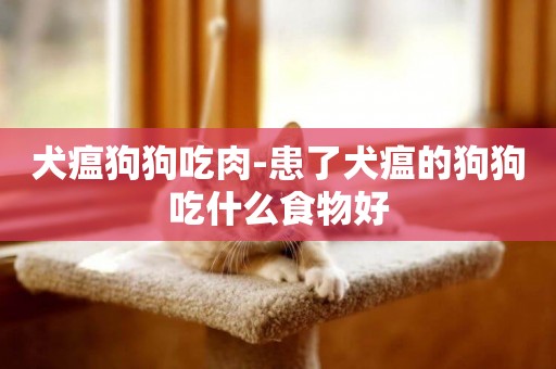 犬瘟狗狗吃肉-患了犬瘟的狗狗吃什么食物好