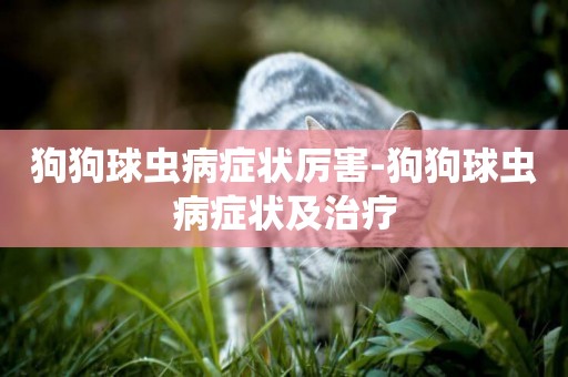 狗狗球蟲病癥狀厲害-狗狗球蟲病癥狀及治療
