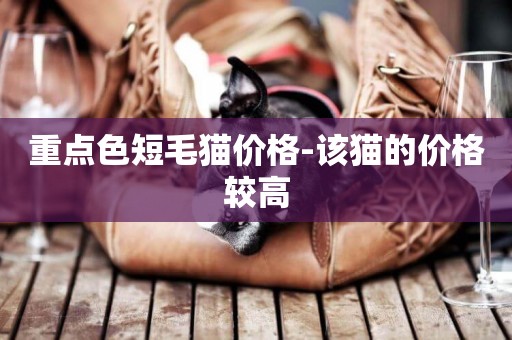 重點色短毛貓價格-該貓的價格較高