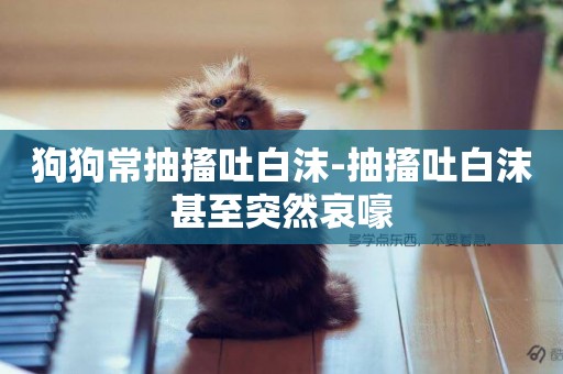 狗狗常抽搐吐白沫-抽搐吐白沫甚至突然哀嚎