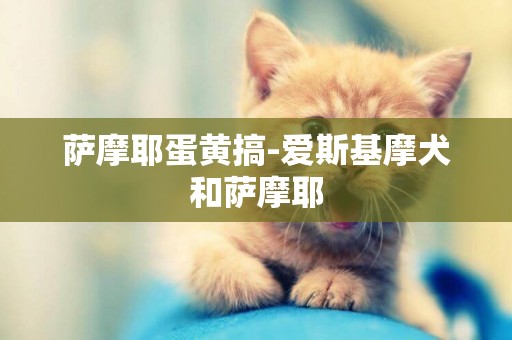 薩摩耶蛋黃搞-愛斯基摩犬和薩摩耶