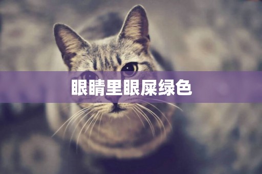 眼睛里眼屎綠色