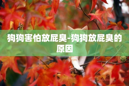 狗狗害怕放屁臭-狗狗放屁臭的原因