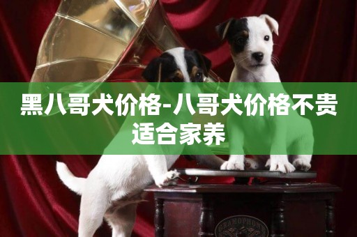 黑八哥犬價格-八哥犬價格不貴適合家養