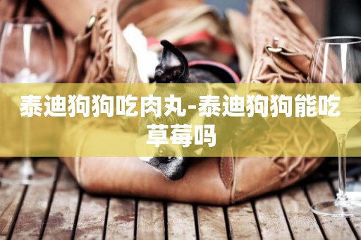 泰迪狗狗吃肉丸-泰迪狗狗能吃草莓嗎