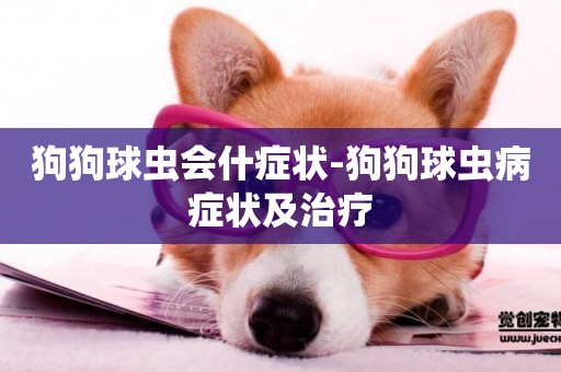 狗狗球蟲會什癥狀-狗狗球蟲病癥狀及治療