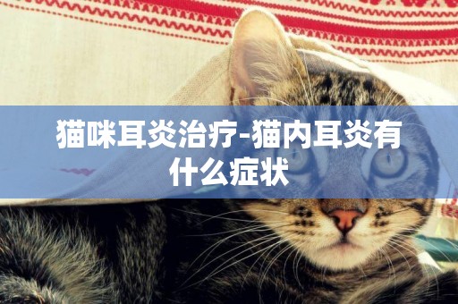 貓咪耳炎治療-貓內耳炎有什么癥狀
