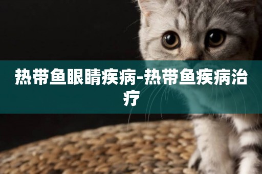 熱帶魚眼睛疾病-熱帶魚疾病治療