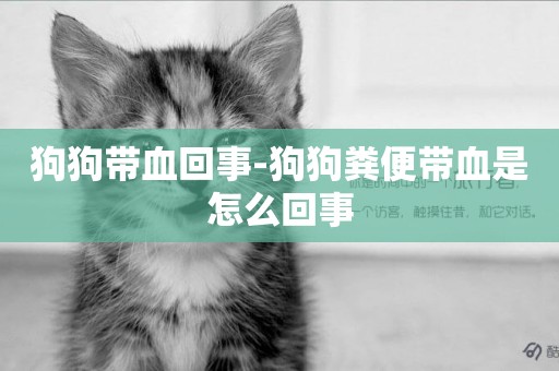 狗狗帶血回事-狗狗糞便帶血是怎么回事