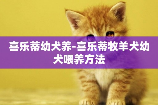 喜樂蒂幼犬養-喜樂蒂牧羊犬幼犬喂養方法