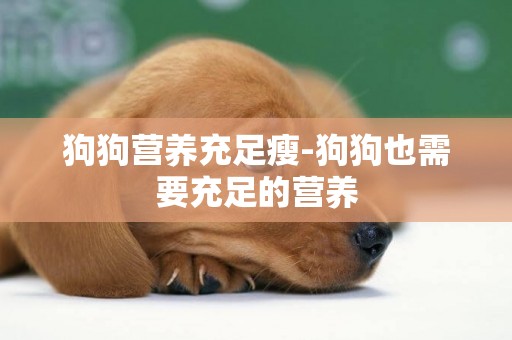 狗狗營養充足瘦-狗狗也需要充足的營養