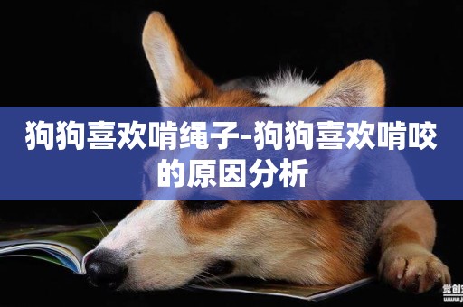 狗狗喜歡啃繩子-狗狗喜歡啃咬的原因分析