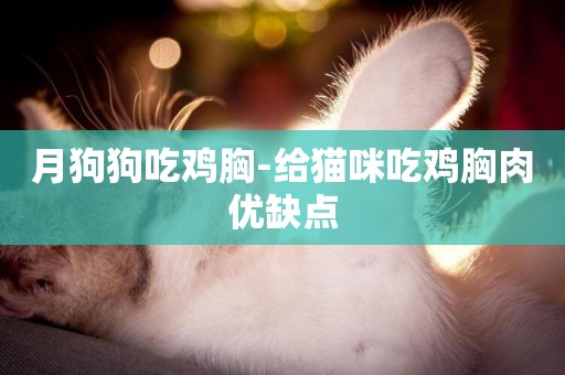 月狗狗吃雞胸-給貓咪吃雞胸肉優缺點
