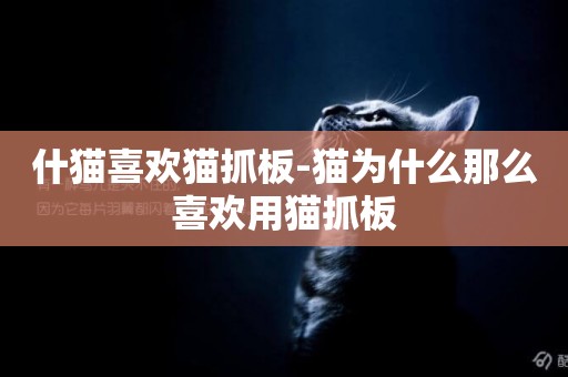 什貓喜歡貓抓板-貓為什么那么喜歡用貓抓板