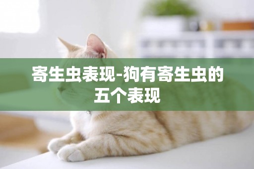 寄生蟲表現-狗有寄生蟲的五個表現