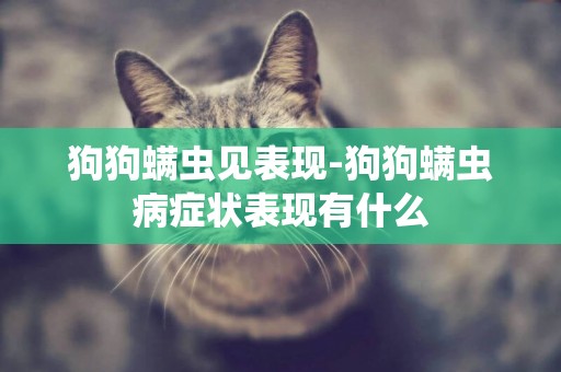 狗狗螨蟲見表現-狗狗螨蟲病癥狀表現有什么