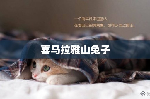 喜馬拉雅山兔子