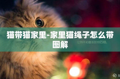 貓帶貓家里-家里貓繩子怎么帶圖解