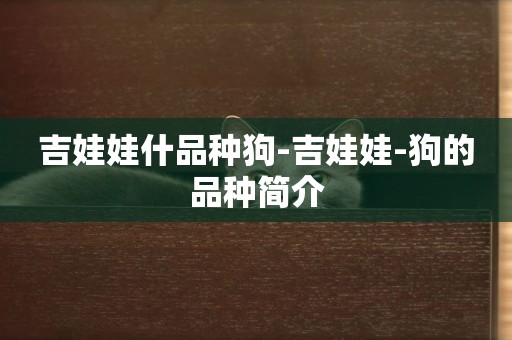 吉娃娃什品種狗-吉娃娃-狗的品種簡介