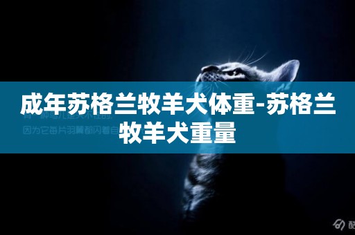 成年蘇格蘭牧羊犬體重-蘇格蘭牧羊犬重量