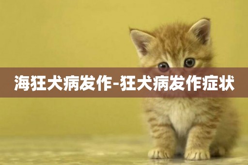 海狂犬病發作-狂犬病發作癥狀