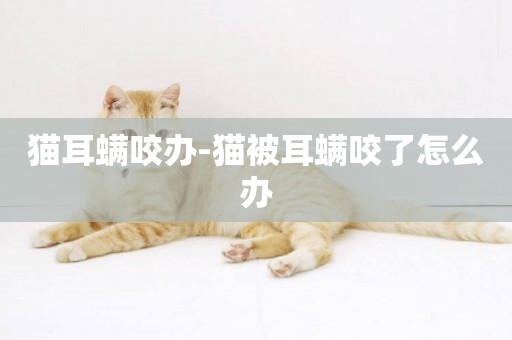 貓耳螨咬辦-貓被耳螨咬了怎么辦