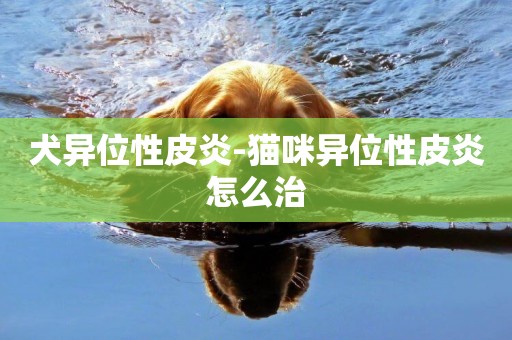 犬異位性皮炎-貓咪異位性皮炎怎么治