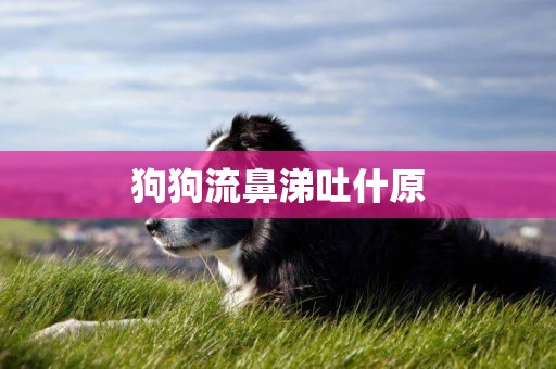 狗狗流鼻涕吐什原