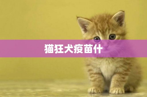 貓狂犬疫苗什