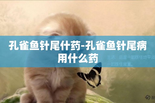 孔雀魚針尾什藥-孔雀魚針尾病用什么藥