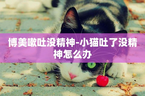 博美嗽吐沒精神-小貓吐了沒精神怎么辦