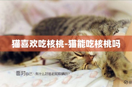 貓喜歡吃核桃-貓能吃核桃嗎