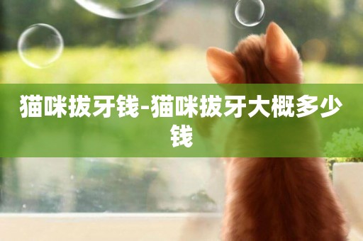 貓咪拔牙錢-貓咪拔牙大概多少錢