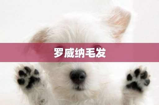 羅威納毛發