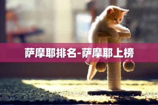薩摩耶排名-薩摩耶上榜