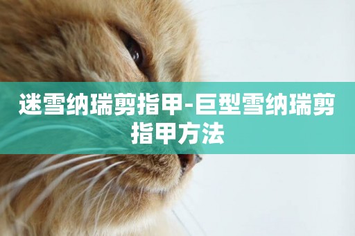 迷雪納瑞剪指甲-巨型雪納瑞剪指甲方法