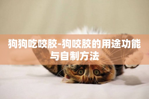 狗狗吃咬膠-狗咬膠的用途功能與自制方法