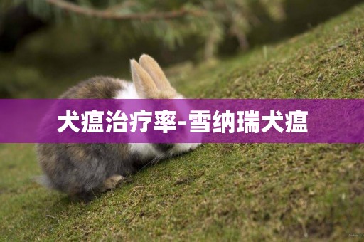 犬瘟治療率-雪納瑞犬瘟